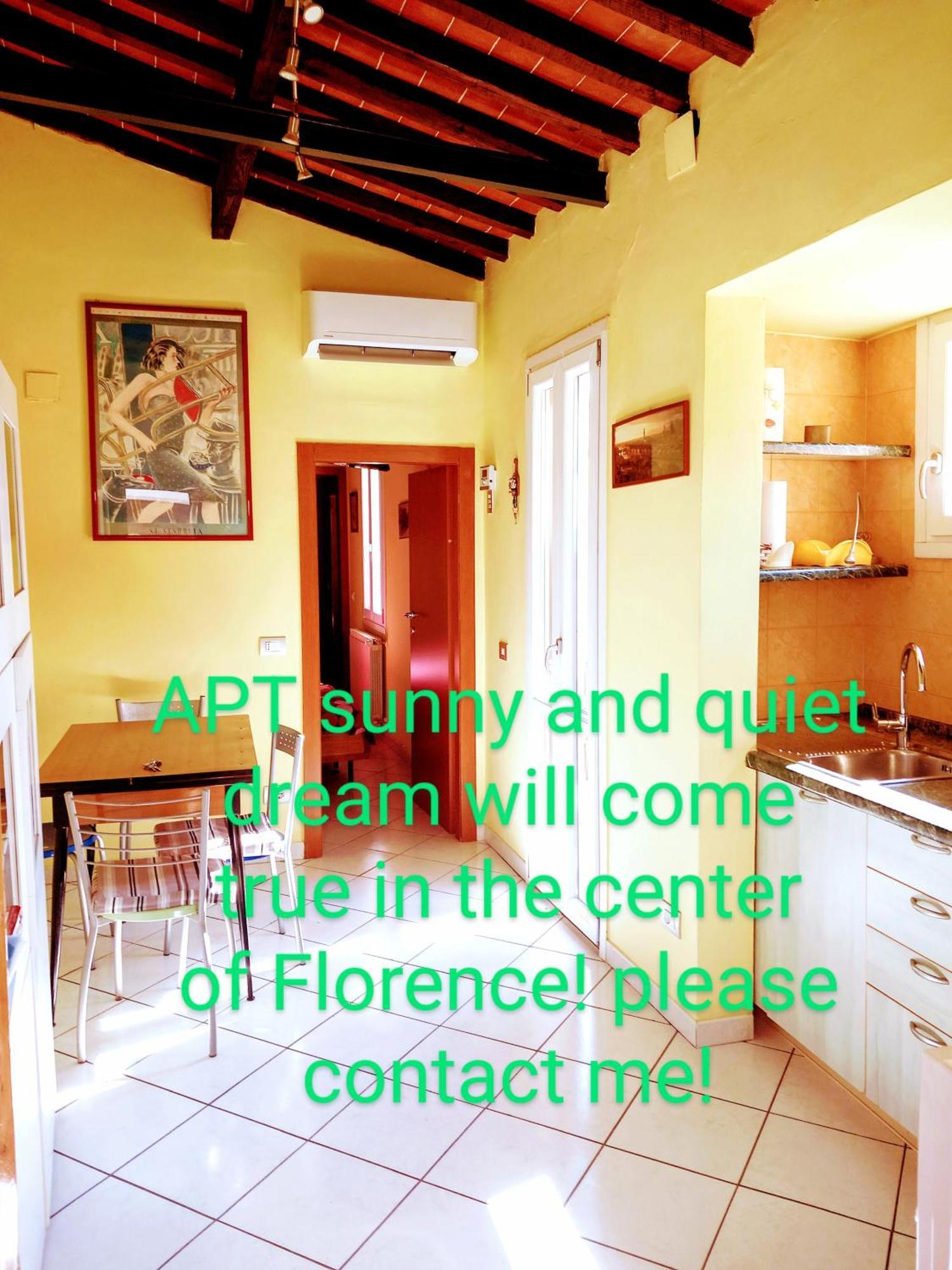 Apt Bright, Quiet! In The Center. Firenze Bagian luar foto